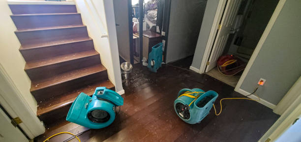 Best Water damage contractors near me  in Central Park, WA