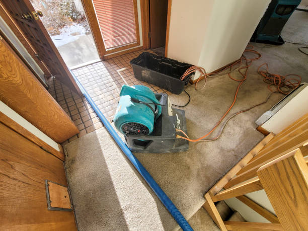 Best 24-hour water damage restoration  in Central Park, WA