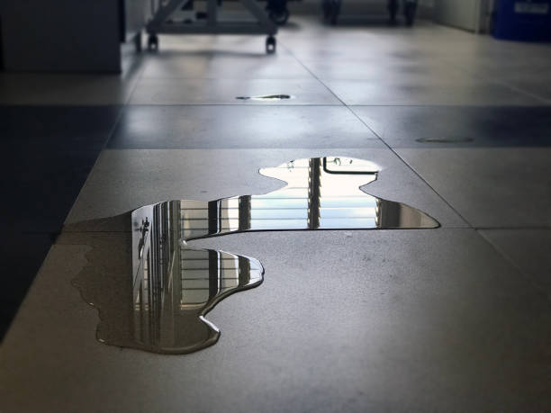 Best Carpet water damage restoration  in Central Park, WA