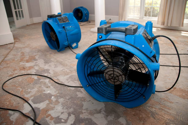 Best Sewage cleanup and water damage restoration  in Central Park, WA