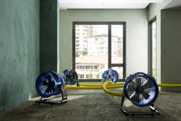 Best Emergency water damage restoration  in Central Park, WA
