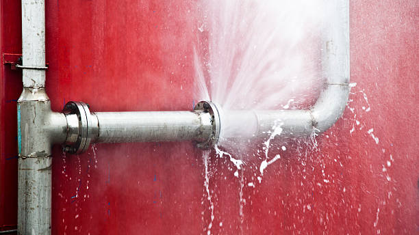 Best Flood damage cleanup  in Central Park, WA