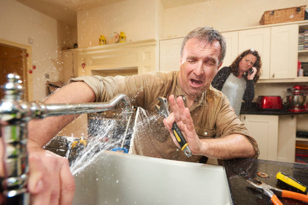 Best Mold removal after water damage  in Central Park, WA